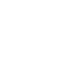 apl shield icon